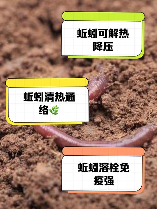 蚯蚓适应环境需要一年吗?蚯蚓适应温度