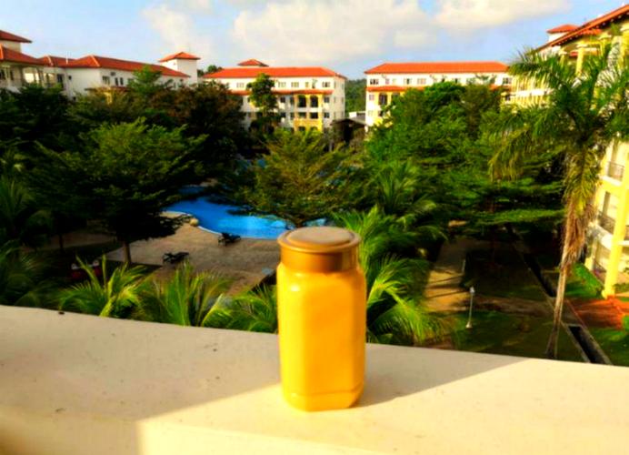 飞机能托运蜂蜜不?飞机上可以托运蜂蜜吗