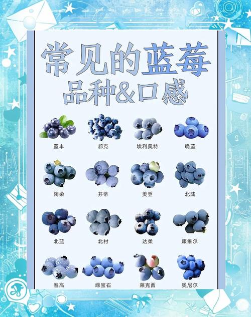 蓝莓和树莓哪个营养好?蓝莓和树莓哪个营养好一点