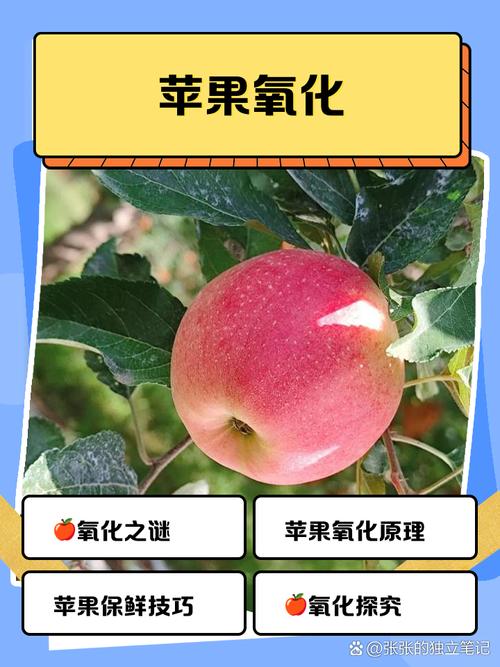 苹果怎样才不会氧化变色?苹果怎么弄不会氧化