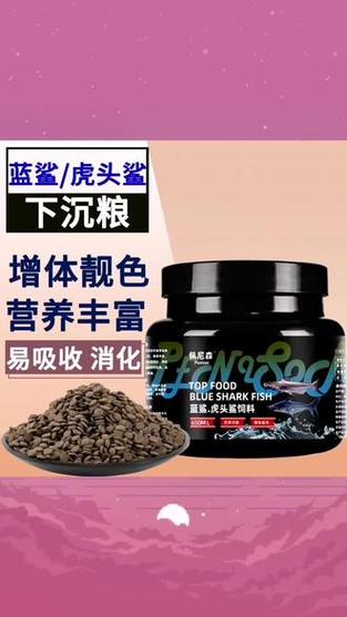 观赏鱼蓝鲨吃什么?观赏鱼蓝鲨吃什么饲料
