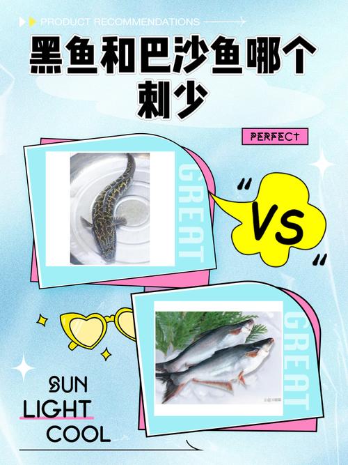 巴沙鱼和黑鱼哪个刺少？巴沙鱼和黑鱼口感有什么区别