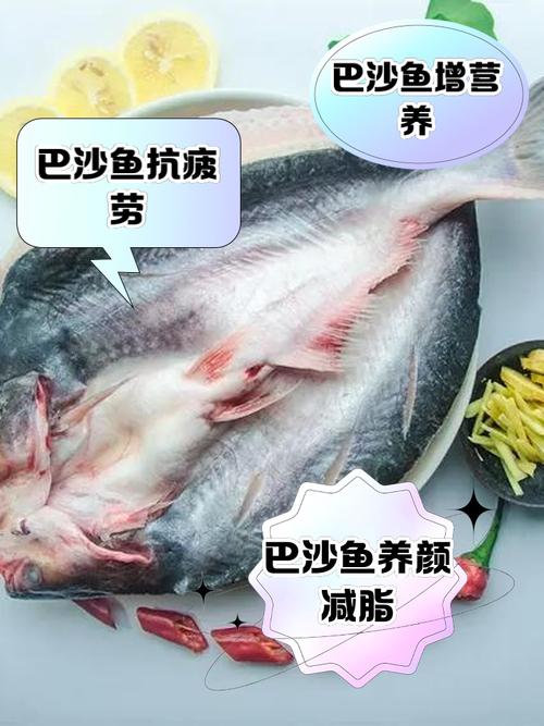 巴沙鱼和黑鱼哪个刺少?巴沙鱼和黑鱼口感有什么区别