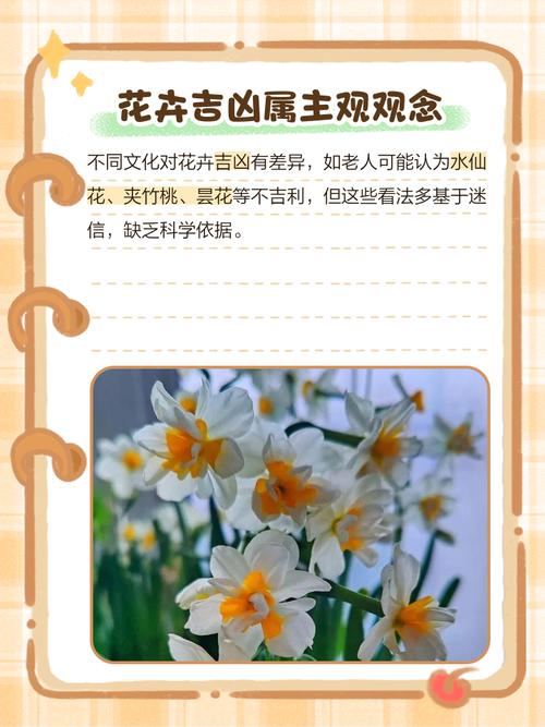 请问碧玉花的花语是什么意思?碧玉花介绍