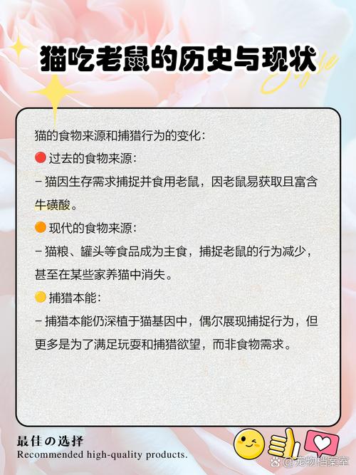 这农村怎么避免猫吃老鼠药?怎么防止猫吃老鼠