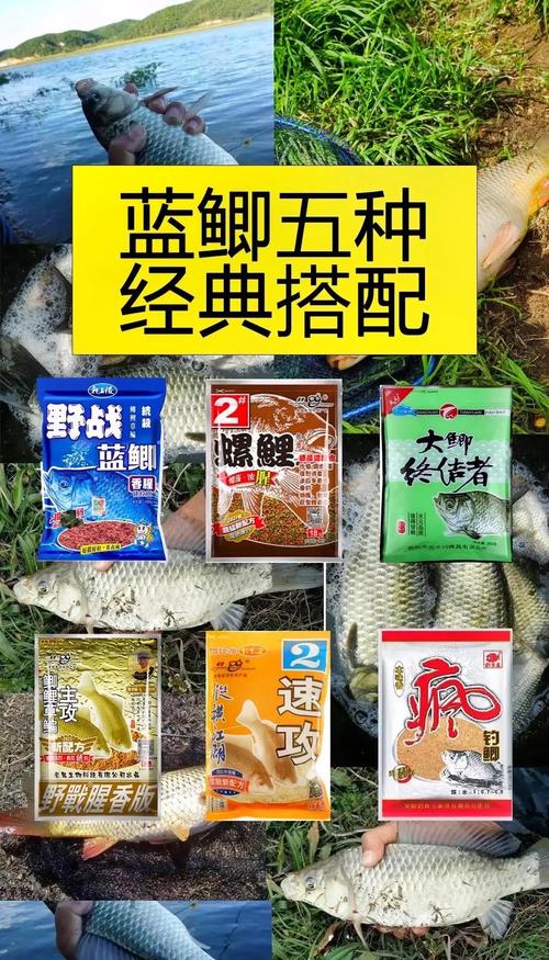 蓝鲫加白糖效果怎么样？蓝鲫加什么效果最好