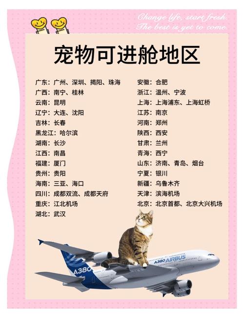 可以带宠物去旅游吗?能带宠物旅游吗