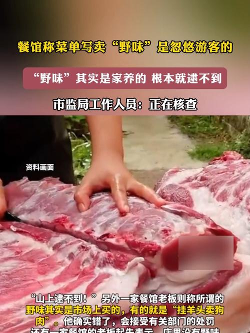 开野味餐馆合法吗?饭店加工野味违法