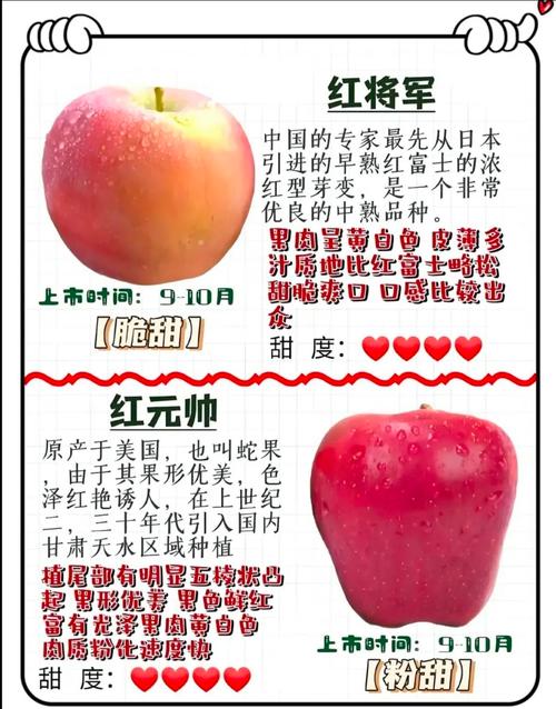 苹果变红的原理是什么?苹果变红的原理是什么意思