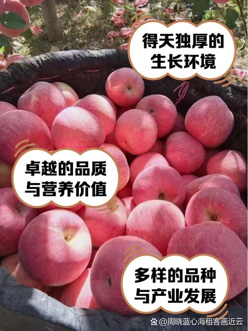 苹果变红的原理是什么?苹果变红的原理是什么意思