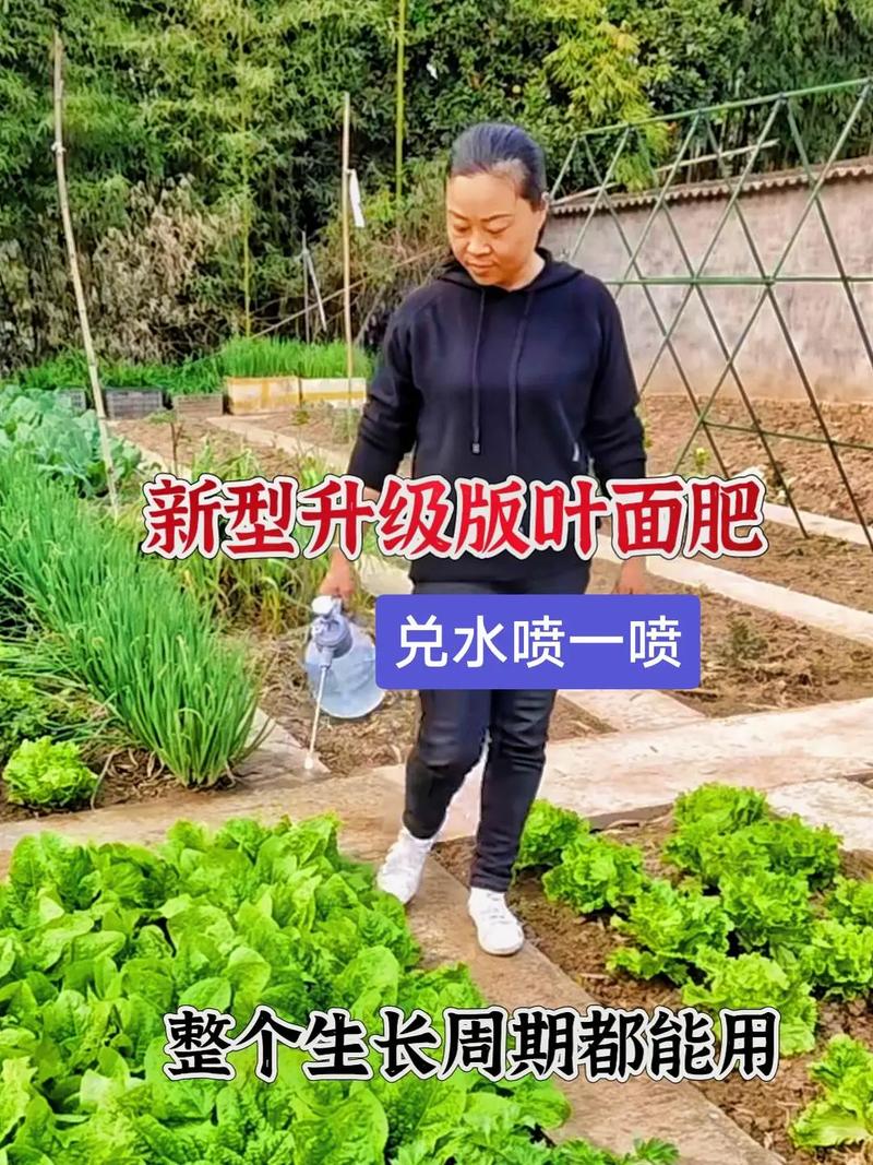 喷过量的叶面肥种植物会怎么样?喷洒叶面肥后多久才能食用