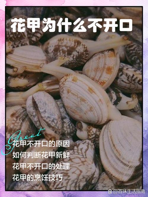 花甲死后还会开口吗？花甲死后还会开口吗图片