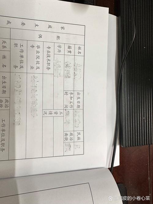 干部履历表是啥意思?干部履历表是什么样子的
