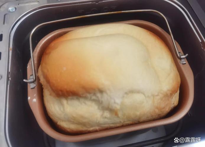 烤面包烤箱下面一定要放水吗?烤箱烤面包的时候下面要放一点水吗