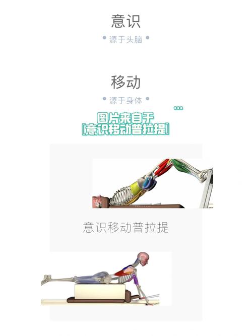 怎么提高身体控制力?怎么锻炼身体控制力