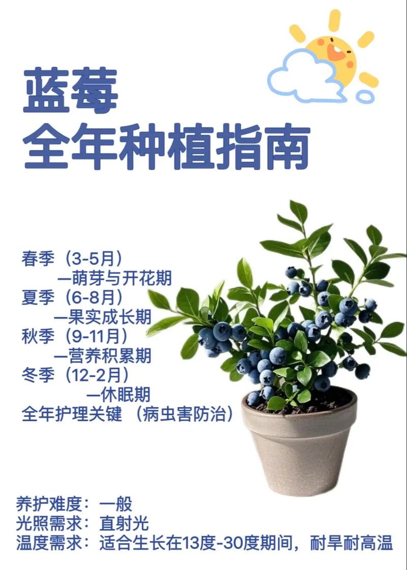 蓝莓的种植方法及成熟期是什么?蓝莓的种植方法及成熟期是什么意思
