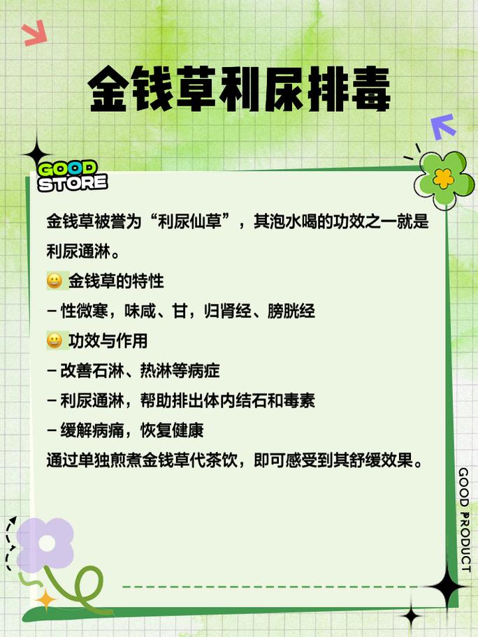 金钱草可以用水养吗有毒吗？金钱草可以用水养吗有毒吗图片