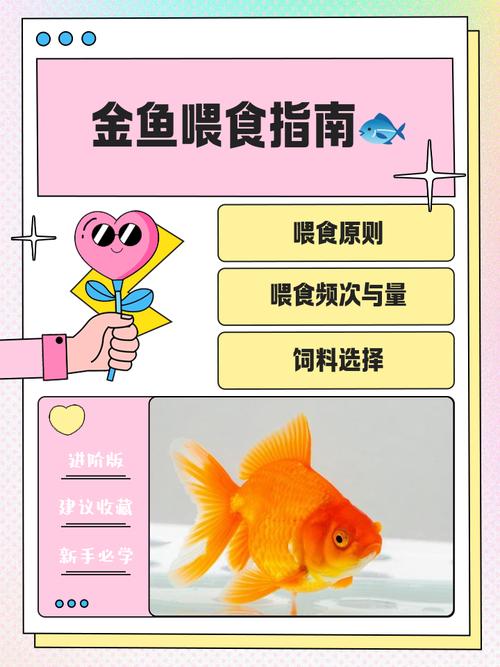 金鱼可以吃饭粒吗怎么喂？金鱼能喂饭吗