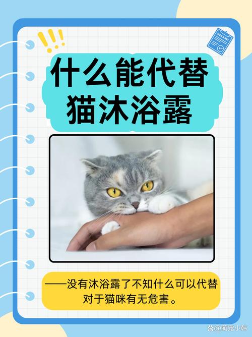 用洗发水给猫洗澡行吗？什么能代替猫沐浴露