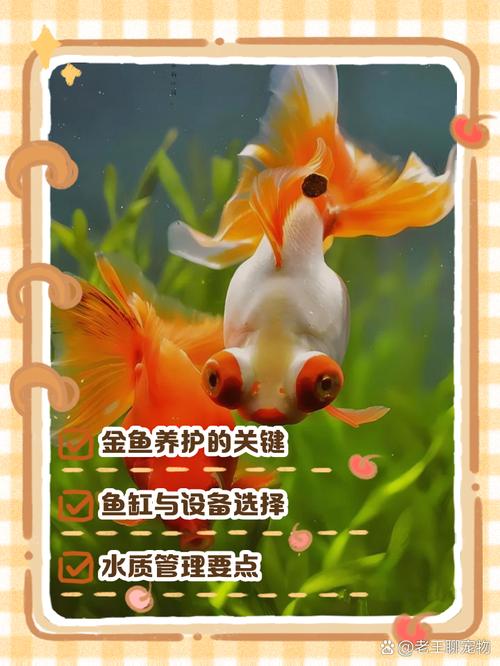 金鱼多久长大一厘米？金鱼多久长大一厘米正常