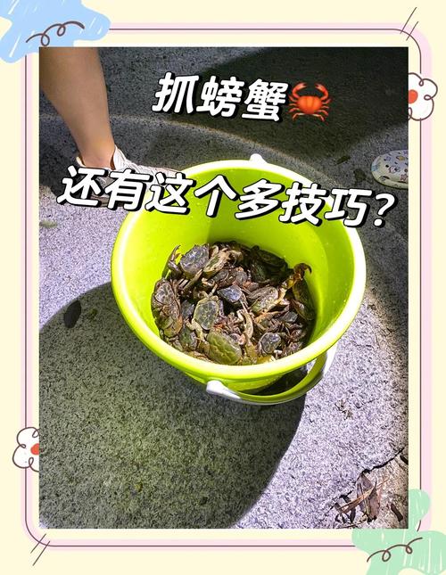 螃蟹在家丢了怎样找回来?家里跑丢了一个螃蟹 怎么把它找出来