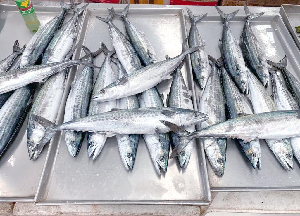 蓬莱有没有海鲜市场?蓬莱有没有海鲜市场啊