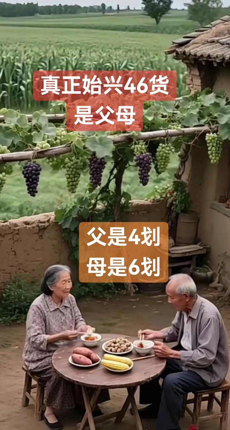 客家46货是什么意思?客家话46货的由来