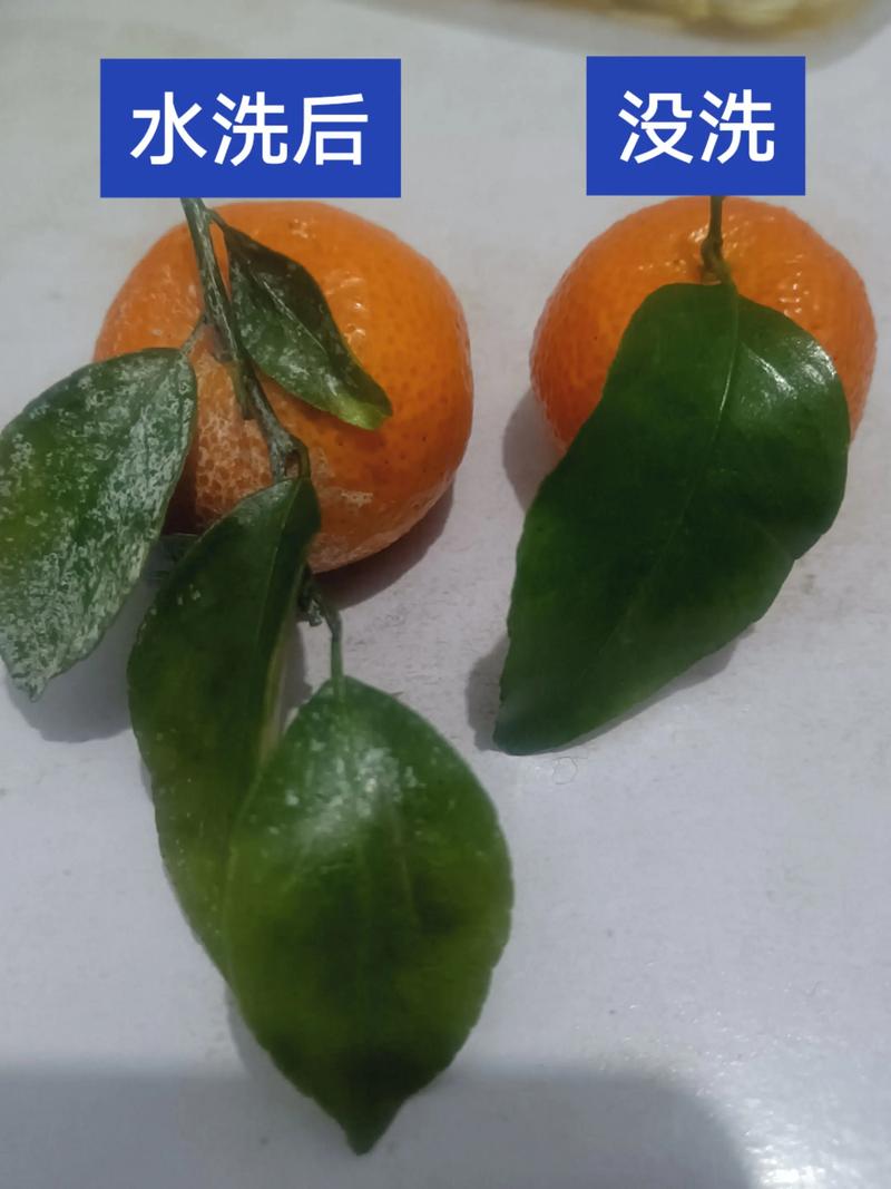 橘子的白瓤有什么作用?橘子里面白色的叫什么名字