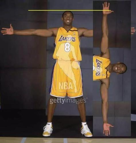 科比多少千克臂展？科比实际臂展