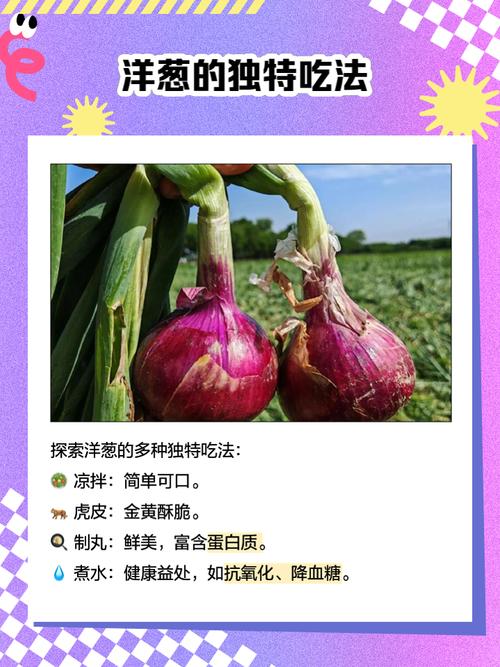 洋葱中是否含有淀粉?洋葱中含有什么物质