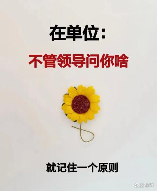 请教领导用什么词？请教领导用什么词形容