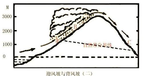 沙丘种树在迎风坡还是背风坡?沙丘植树在迎风坡吗
