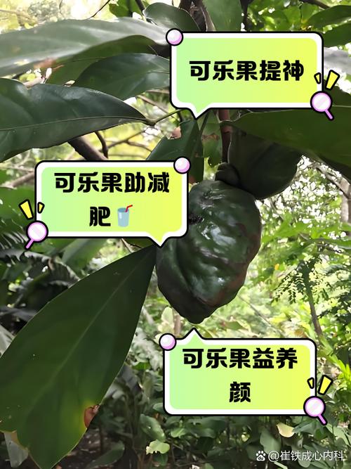 吃坚果喝可乐会不会中毒?吃坚果能喝可乐吗