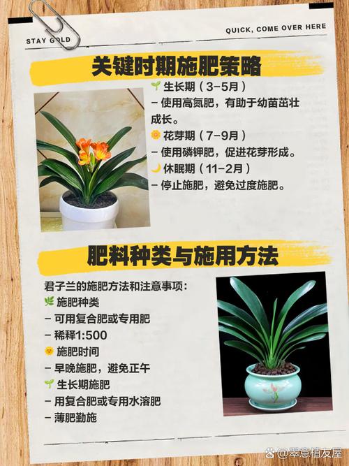 如何制作君子兰肥料?怎样制作君子兰肥料