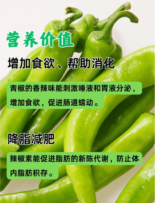 青椒和辣椒哪个营养?青椒和辣椒是不是一个品种