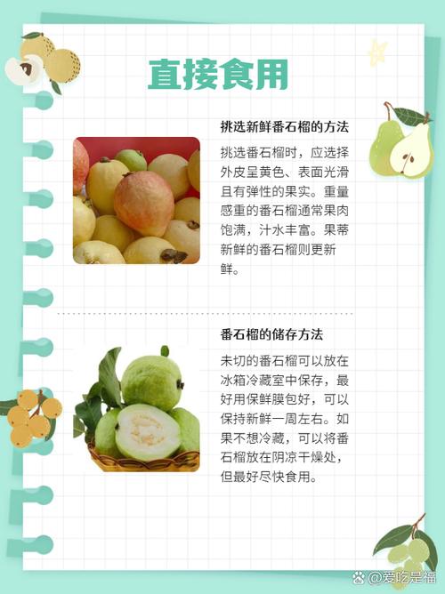 番石榴最佳食用季节？番石榴最佳食用季节是什么