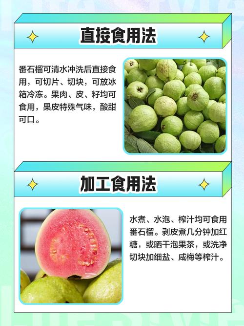 番石榴最佳食用季节?番石榴最佳食用季节是什么