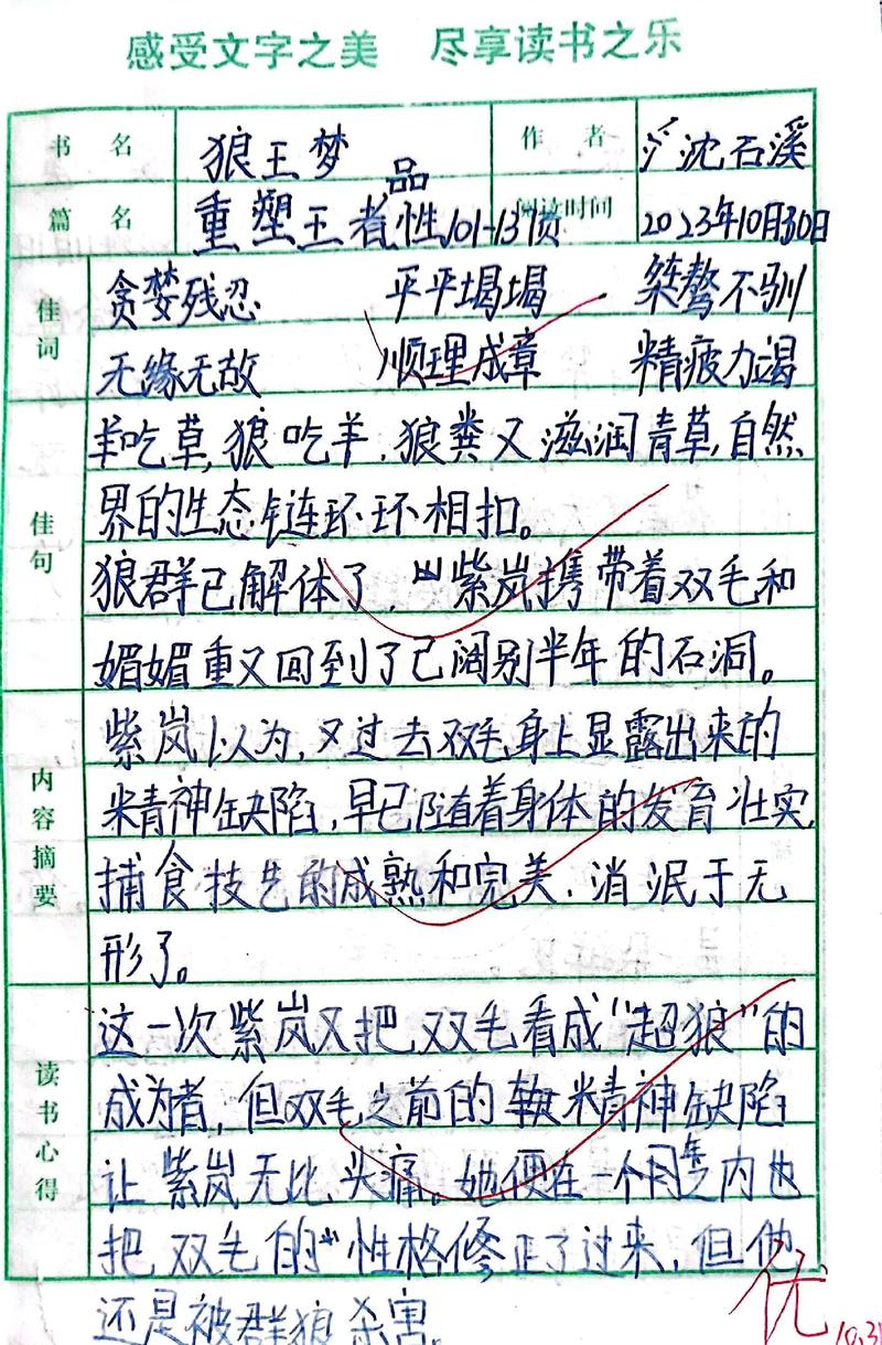 狼王梦这本书中的精彩描写?狼王梦最精彩的一个情节