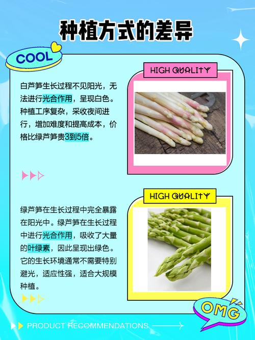 芦笋和竹笋是一个东西吗？芦笋和竹笋的区别