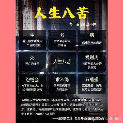 人生分别有几苦几乐?人生分别有几苦几乐下一句