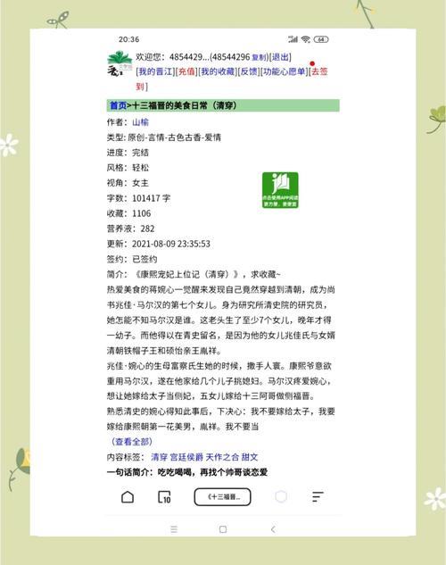 清穿十四阿哥的小说叫什么名字?清朝穿越小说十四阿哥