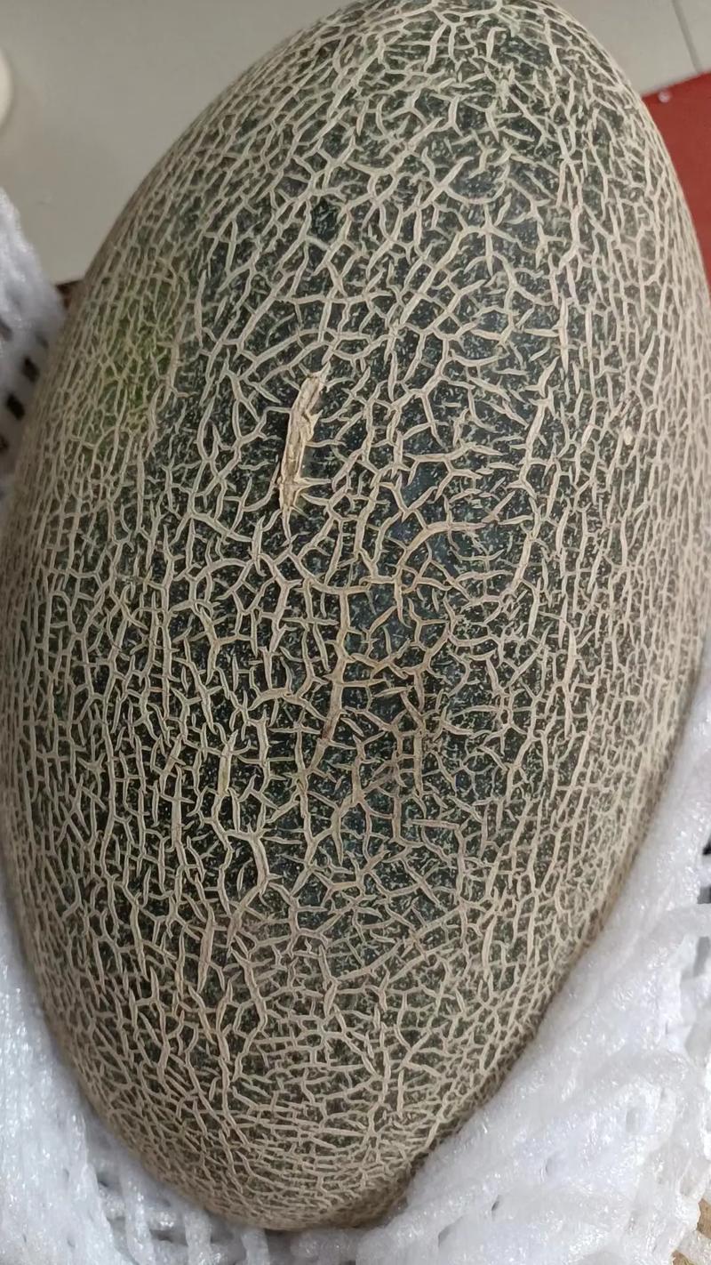 哈密瓜放了一个月？哈密瓜放了一个月了还能吃吗