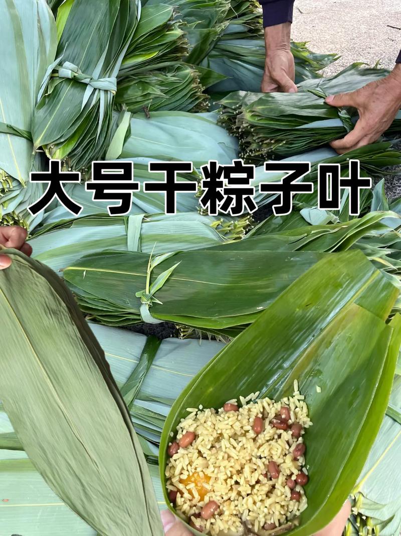 干粽叶必须泡一晚上吗?干粽叶必须泡一晚上吗