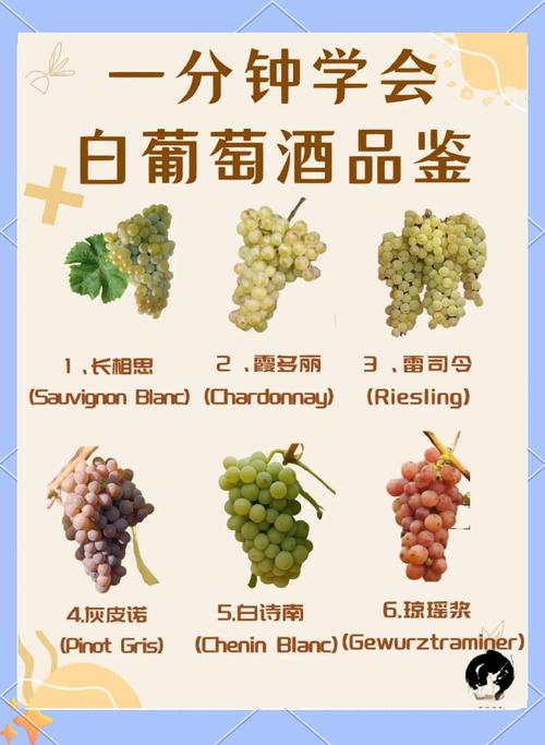 葡萄酒白色破败指什么？白葡萄酒色泽是怎样的?