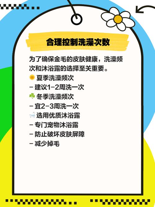 金毛长跳蚤了可以剃毛吗?金毛狗狗身上有跳蚤怎么办