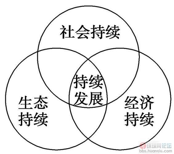 试述可持续发展的概念?简述可持续发展概念的提出及其发展历程