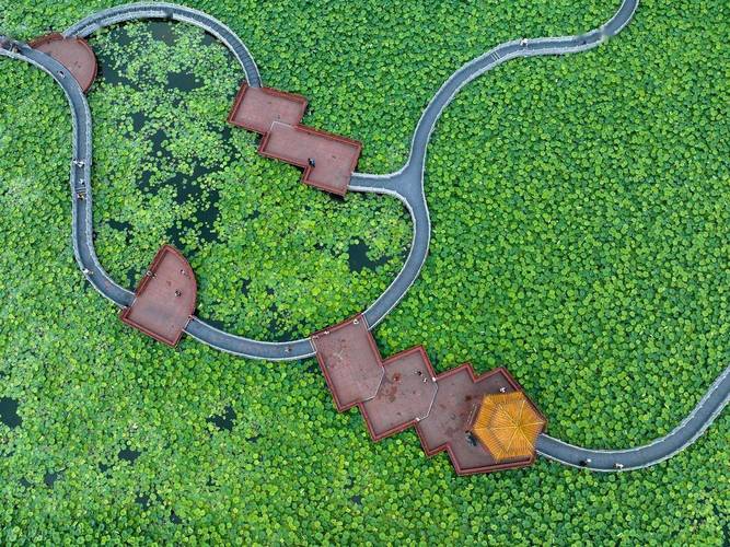 津市附近有什么景点?津市哪里好玩