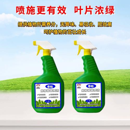 九死还魂草盆栽用什么土？九死还魂草用什么肥料