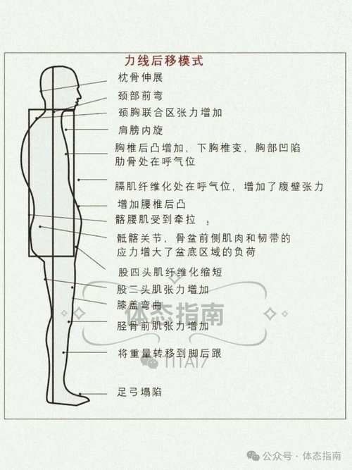 人类的体力极限是多少？人类的身体力行