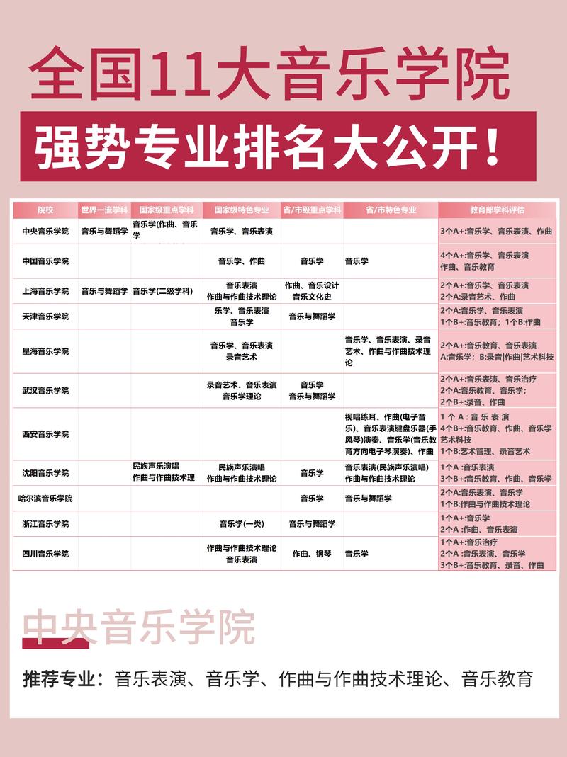 考音乐学院需要学什么专业？考音乐学院需要学什么专业知识